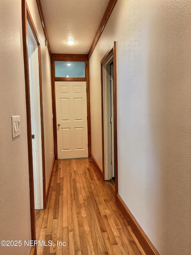 224 Crocus Ln, Hawthorne, FL 32640 - photo 37