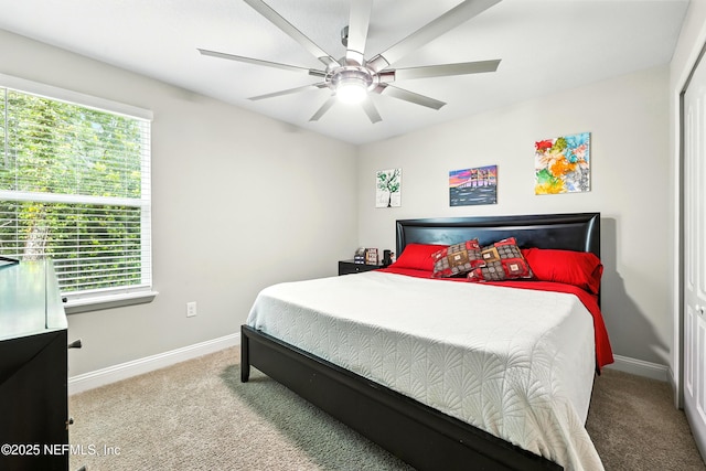 3119 Tuesdays Cv, Green Cove Springs, FL 32043 - photo 34