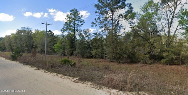 0 Main St, Interlachen, FL 32148 - photo 1