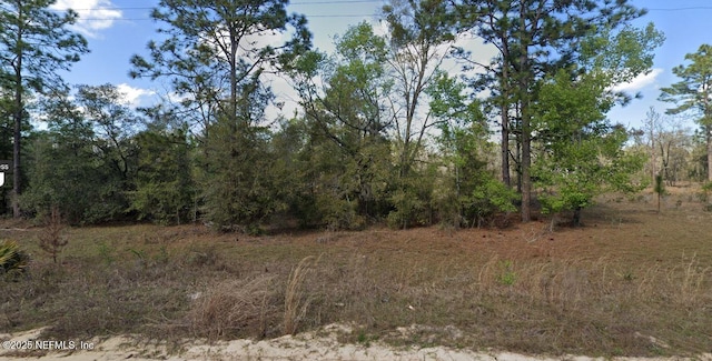 0 Main St, Interlachen, FL 32148 - photo 2