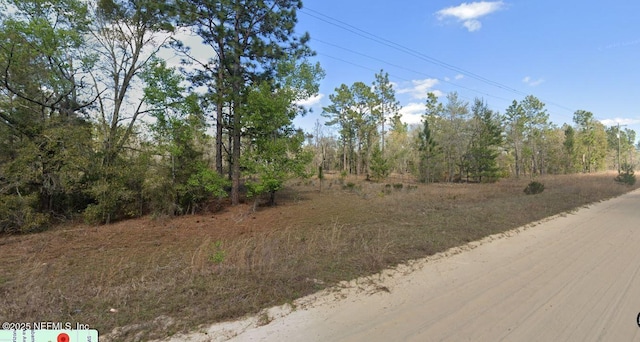 0 Main St, Interlachen, FL 32148 - photo 3