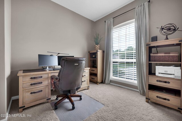 3484 Babiche St, Saint Johns, FL 32259 - photo 12