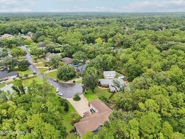 1221 Creekwood Way S, Saint Johns, FL 32259 - photo 61
