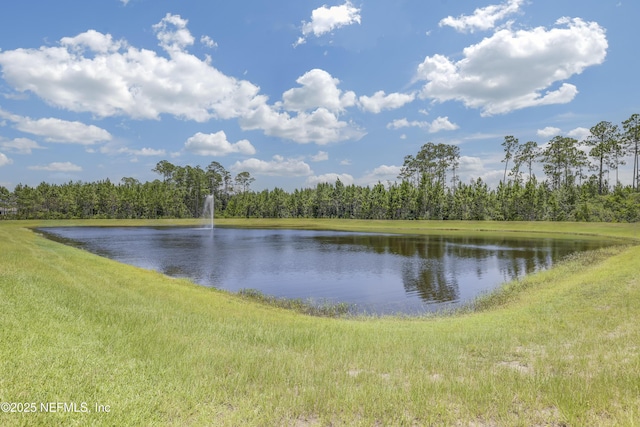 10470 Anthem Way, Jacksonville, FL 32256 - photo 7