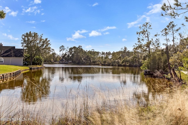 1886 Mourning Dove Ln, Jacksonville Beach, FL 32250 - photo 52