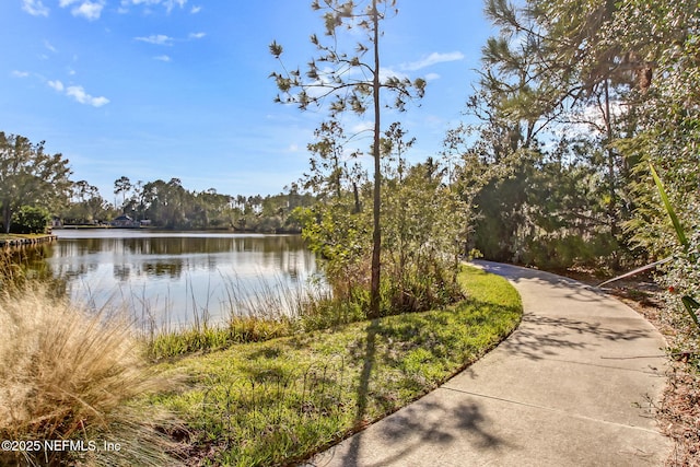 1886 Mourning Dove Ln, Jacksonville Beach, FL 32250 - photo 54