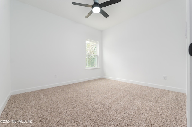5545 Buzzie Ln, Middleburg, FL 32068 - photo 14