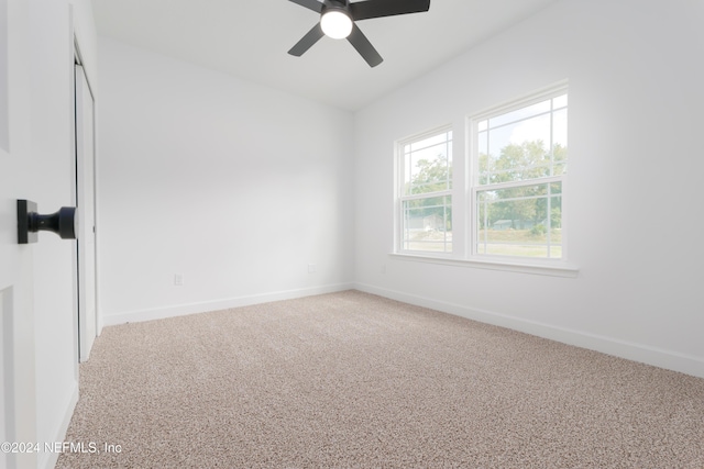 5545 Buzzie Ln, Middleburg, FL 32068 - photo 18