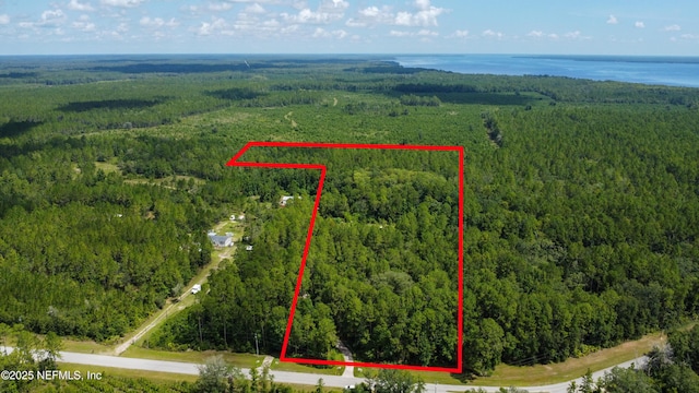 226 Eagle Creek Rd, Palatka, FL 32043 - photo 1