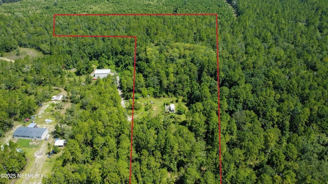 226 Eagle Creek Rd, Palatka, FL 32043 - photo 3