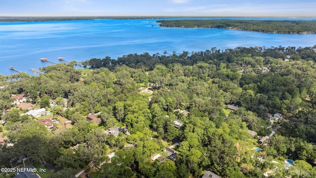 1130 Natures Hammock Rd N, Saint Johns, FL 32259 - photo 62
