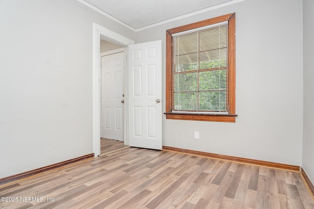 116 Ravine St, Jacksonville, FL 32206 - photo 10