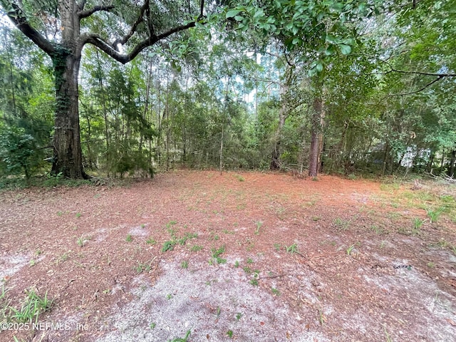 4504 Junction Dr, Middleburg, FL 32068 - photo 17