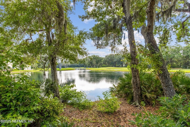 1653 Rigging Way, Fernandina Beach, FL 32034 - photo 43