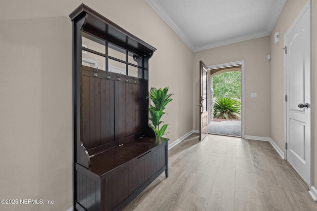 56 Gray Wolf Trl, Jacksonville, FL 32081 - photo 5
