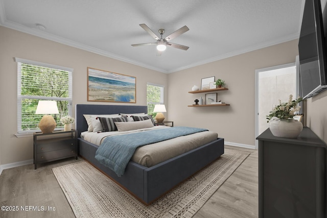 56 Gray Wolf Trl, Jacksonville, FL 32081 - photo 21