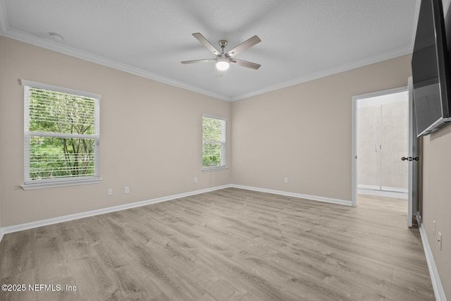 56 Gray Wolf Trl, Jacksonville, FL 32081 - photo 22