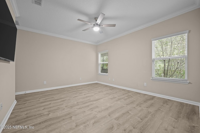56 Gray Wolf Trl, Jacksonville, FL 32081 - photo 23