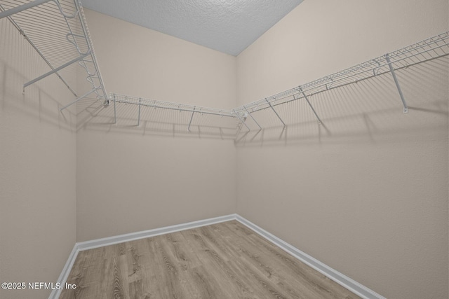 56 Gray Wolf Trl, Jacksonville, FL 32081 - photo 27