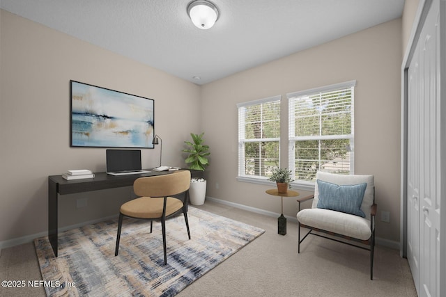 56 Gray Wolf Trl, Jacksonville, FL 32081 - photo 28