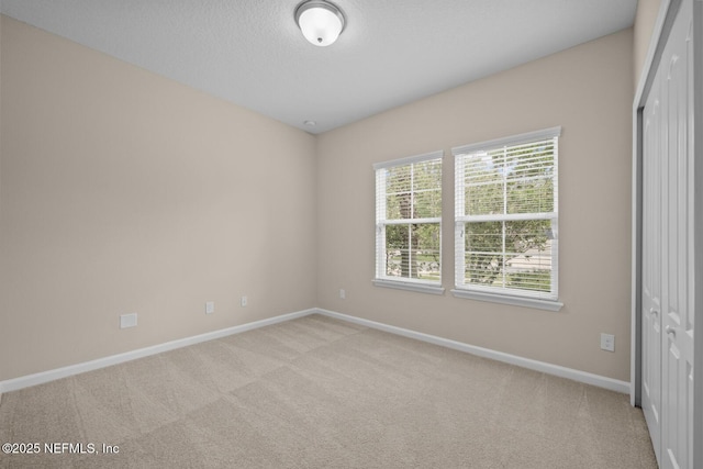 56 Gray Wolf Trl, Jacksonville, FL 32081 - photo 29