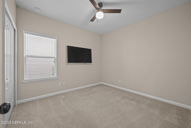 56 Gray Wolf Trl, Jacksonville, FL 32081 - photo 30