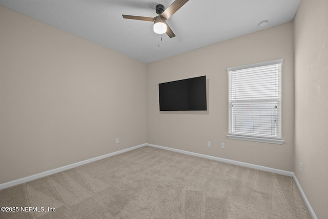 56 Gray Wolf Trl, Jacksonville, FL 32081 - photo 32