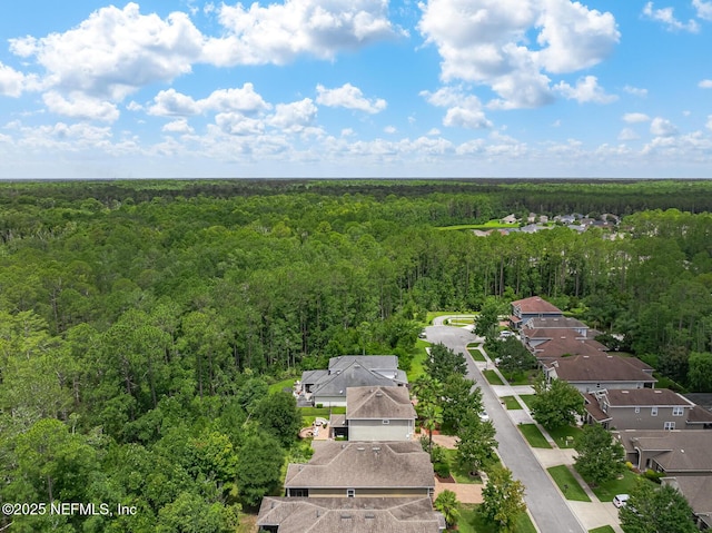 56 Gray Wolf Trl, Jacksonville, FL 32081 - photo 51
