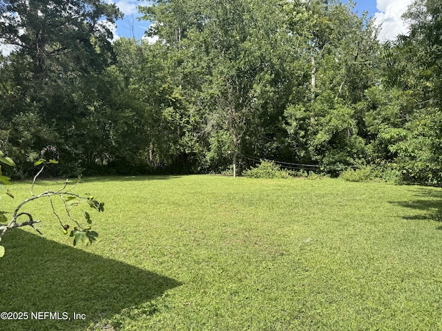 3413 Eve Dr E, Jacksonville, FL 32246 - photo 20