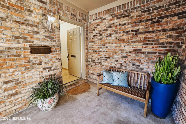 9252 San Jose Blvd Unit 2904, Jacksonville, FL 32257 - photo 3