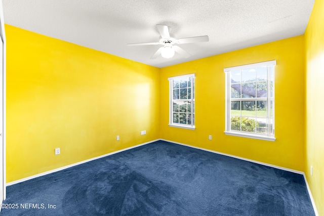 13954 Sandhill Crane Dr S, Jacksonville, FL 32224 - photo 25