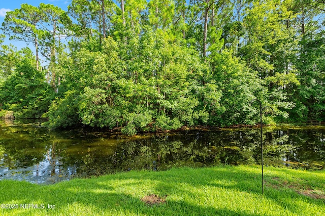 9586 Glenn Abbey Way, Jacksonville, FL 32256 - photo 40