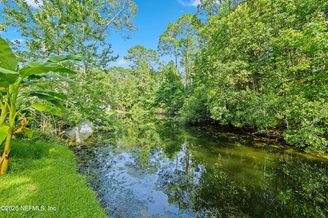9586 Glenn Abbey Way, Jacksonville, FL 32256 - photo 42