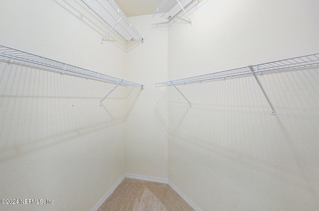 12700 Bartram Park Blvd Unit 423, Jacksonville, FL 32258 - photo 13