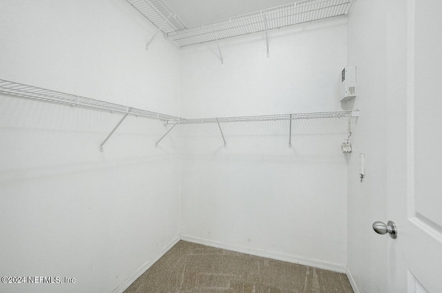 12700 Bartram Park Blvd Unit 423, Jacksonville, FL 32258 - photo 15