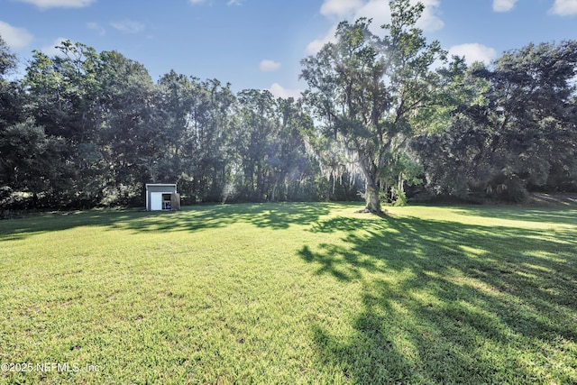 1875 Country Meadows Ln, Middleburg, FL 32068 - photo 30