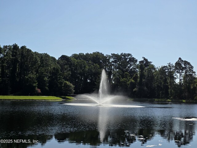11251 Campfield Dr Unit 3405, Jacksonville, FL 32256 - photo 37