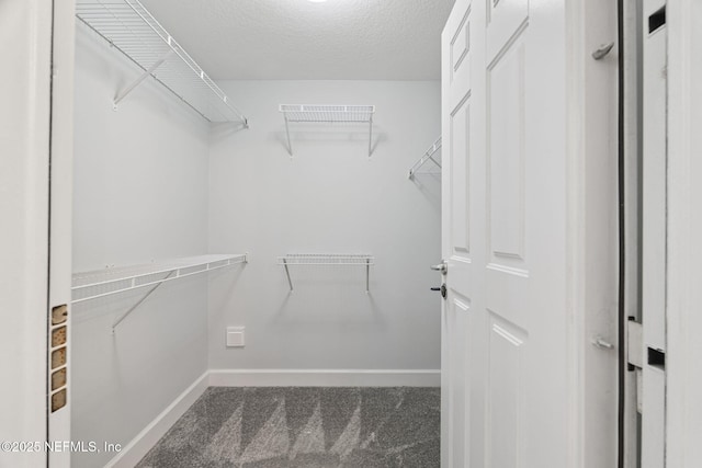 125 Cypress Bay Dr, Ponte Vedra, FL 32081 - photo 23