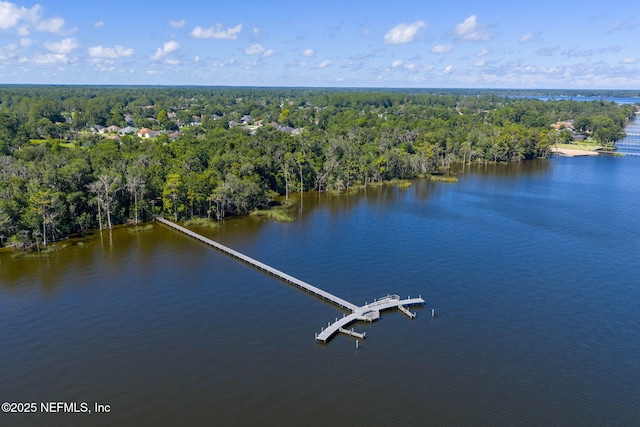 2148 Arden Forest Pl, Fleming Island, FL 32003 - photo 80