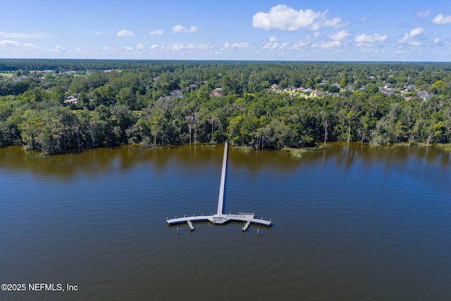 2148 Arden Forest Pl, Fleming Island, FL 32003 - photo 81