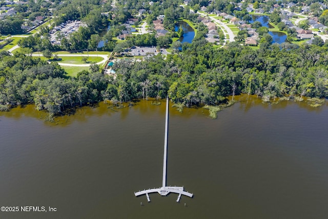 2148 Arden Forest Pl, Fleming Island, FL 32003 - photo 82