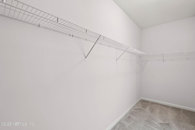 2148 Arden Forest Pl, Fleming Island, FL 32003 - photo 27