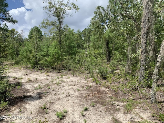 403 Lily Trl, Interlachen, FL 32148 - photo 2