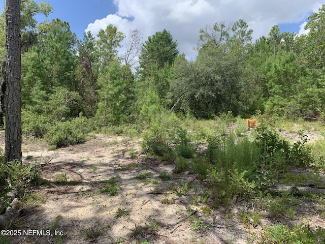 403 Lily Trl, Interlachen, FL 32148 - photo 5