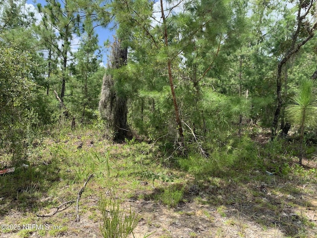 403 Lily Trl, Interlachen, FL 32148 - photo 7