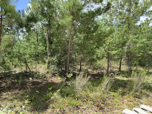 403 Lily Trl, Interlachen, FL 32148 - photo 8