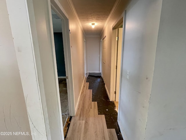 3026 Anniston Rd, Jacksonville, FL 32246 - photo 6