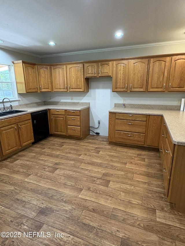 19619 NW 56th Ave, Starke, FL 32091 - photo 5