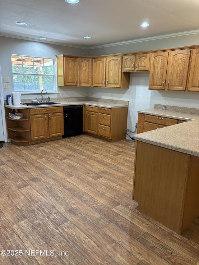 19619 NW 56th Ave, Starke, FL 32091 - photo 4
