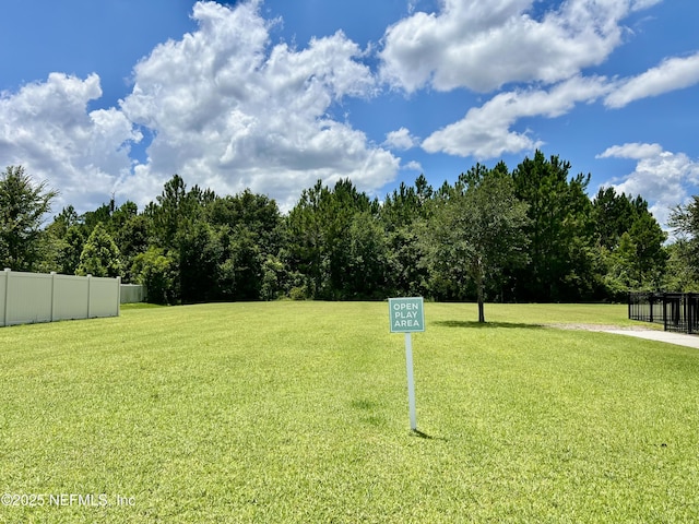 12538 Itani Way, Jacksonville, FL 32226 - photo 49
